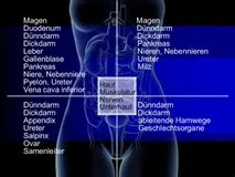 Loadmedical - Medizinische Filme - Crash-Kurs Medizin: Differentialdiagnose - Das komplette Video