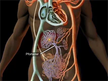 Loadmedical - Medizinische Filme - Onkologie - Das komplette Video