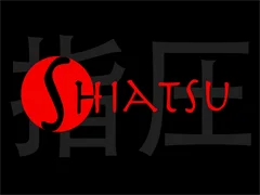 Shiatsu - Professionelle Praxis und Energiearbeit