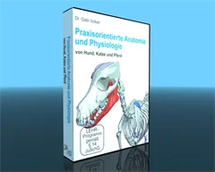Anatomie-Physiologie Hund, Katze, Pferd -Gesamtausgabe - DVD-Version