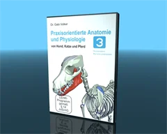 Anatomie und Physiologie bei Hund, Katze und Pferd - Teil 3 -DVD-Version
